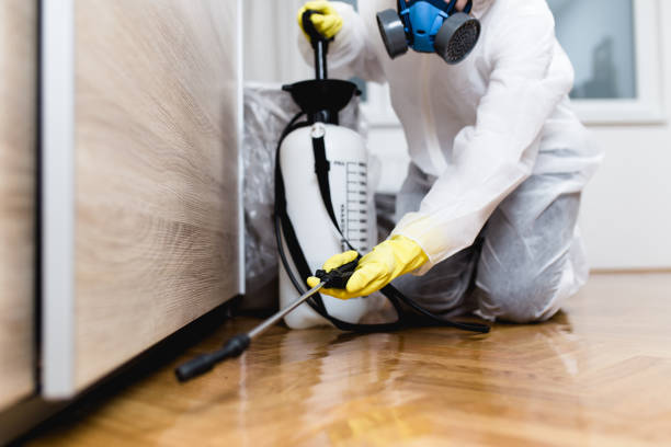 Best Affordable Pest Control Services  in Prosser, WA