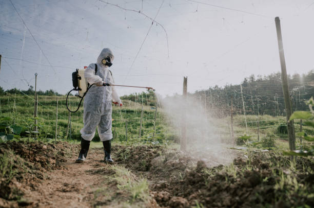 Best Best Pest Control Companies  in Prosser, WA
