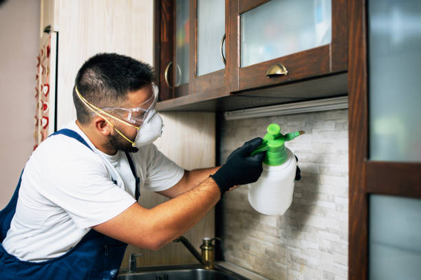 Best Flea Control Services  in Prosser, WA