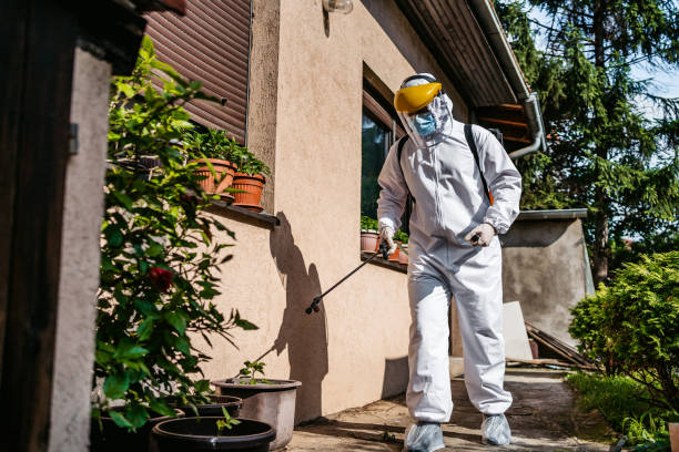 Best Affordable Pest Control Services  in Prosser, WA