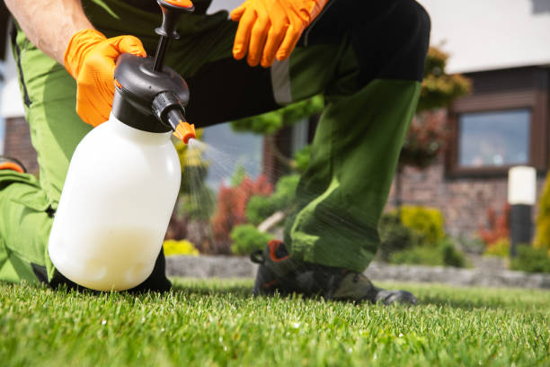 Best Best Pest Control Companies  in Prosser, WA