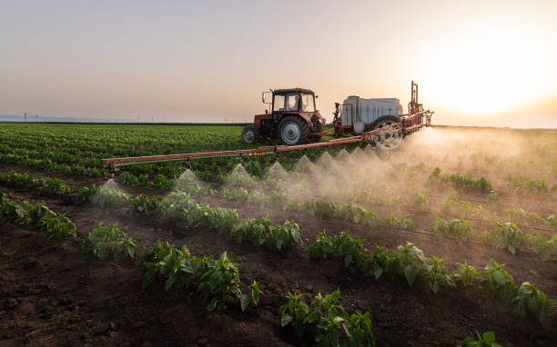 Reliable Prosser, WA Pest Control Solutions