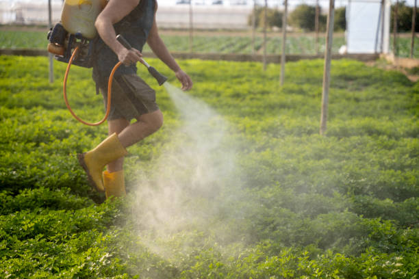 Pest Control Cost in Prosser, WA