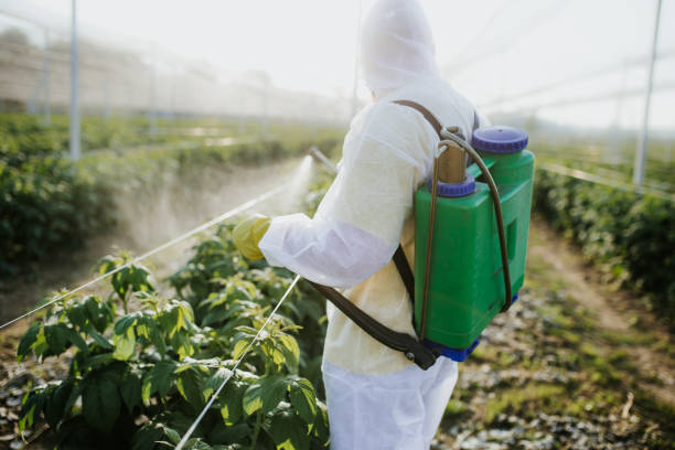 Best Mosquito Control Services  in Prosser, WA
